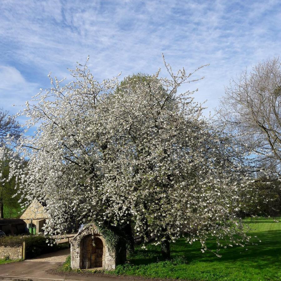 Wayside House B&B Whichford Exteriér fotografie